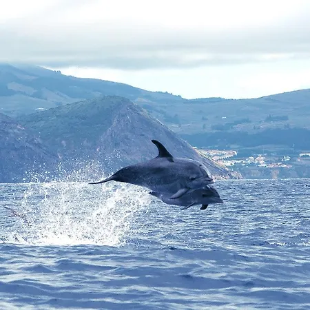 Casa de hóspedes Isaias Angra do Heroísmo