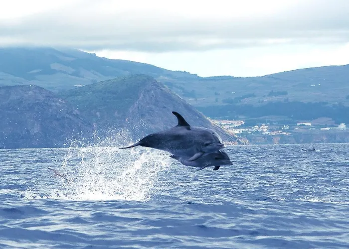 בית הארחה Isaias Angra do Heroísmo